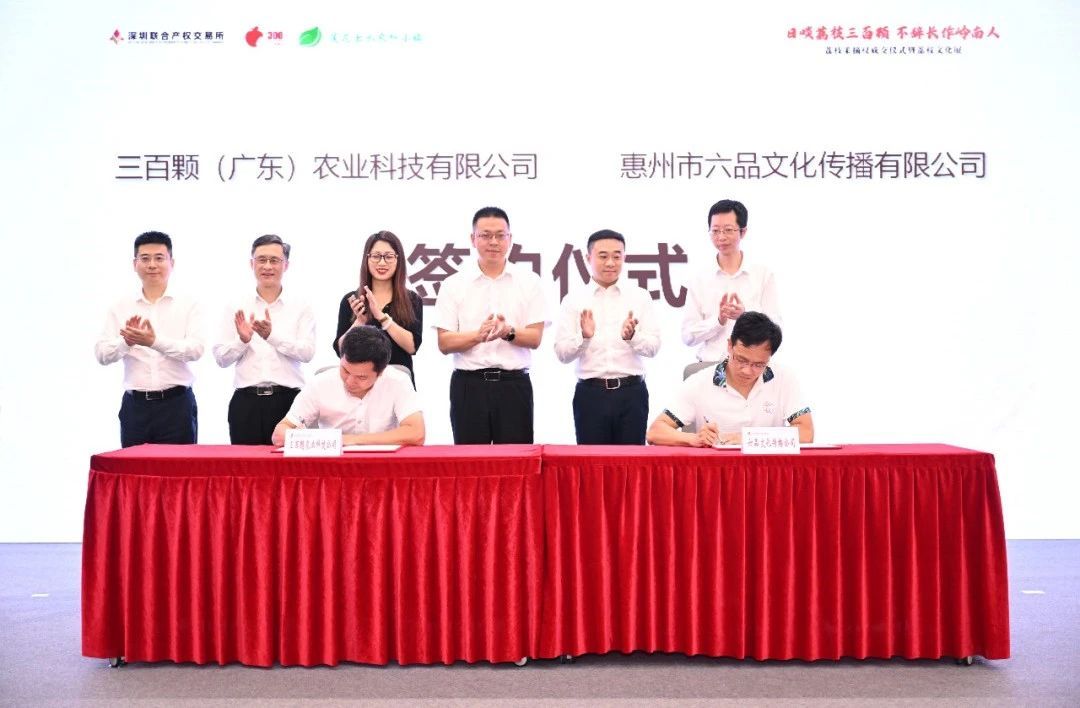 开云 开云真人APP全国首例!广州增城“荔枝采摘权”挂牌上市(图2) 开云 开云真人APP全国首例!广州增城“荔枝采摘权”挂牌上市(图2)