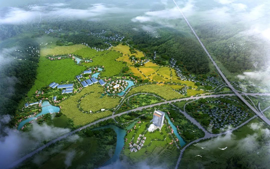 开云 开云真人APP全国首例!广州增城“荔枝采摘权”挂牌上市(图3) 开云 开云真人APP全国首例!广州增城“荔枝采摘权”挂牌上市(图3)