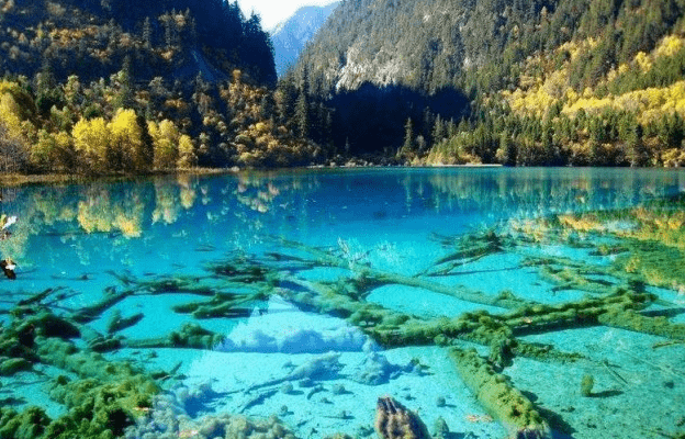 开云真人 开云真人场馆“消费”复苏加快2023旅游业优势多多(图1) 开云真人 开云真人场馆“消费”复苏加快2023旅游业优势多多(图1)