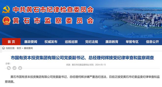 黄石市国有资本投资集团有限公司党委副书记、总经理何辉被查(图1)